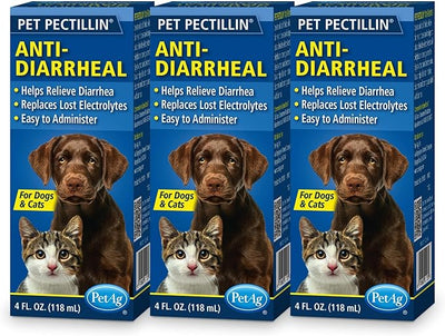 PetAg Pet Pectillin Anti-Diarrheal - 4 oz, Pack of 3 - Helps Relieve Diarrhea or Loose Stool in Dogs and Cats - Replaces Lost Electrolytes - Easy to Administer