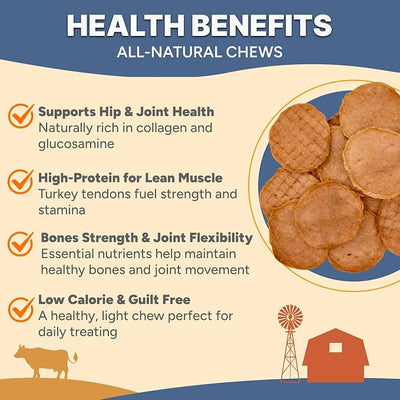 Gaines Family Farmstead Turkey Tendon Chips for Dogs – 5 oz, Natural Single-Ingredient Dog Treats, High-Protein Crunchy Chews, Rawhide Alternative, Grain-Free, Made in USA