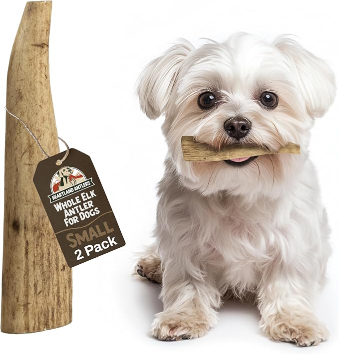 Heartland Elk Antlers for Dogs - Daily Dental Care Chews for Aggressive Chewers to Reduce Plaque & Prevent Destructive Behavior (Splinter Free, Whole, 4", Small, 2-Pack, Grade A, USA Made)