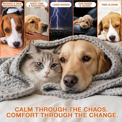 Organic Неmp Oil for Dogs, Cats 2-Pack, Dog Cats Anxiеty Relief & Strеss & Pаin Rеlief, Supports Hip Joint Health, Slеep & Rеlaxation, Pet Calming Drops,
