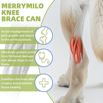 Dog Hip Brace, Knee & Leg Support Brace for ACL Recovery, Ligament Injury - Breathable & Adjustable Dog Leg Brace for Senior Dogs, Post-Surgery Rehabilitation & Mobility Aid(Size M)
