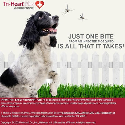 TRI-HEART PLUS Chewable Tablet for Dogs, 26-50 lbs (Green Box), 6 Chewable Tablets, 6-Month Supply