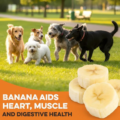 BRUTUS & BARNABY USA Sweet Potato Dog Treats - Grain Free, Peanut Butter Crunchy Sticks are Great Tasting, Promotes Positive Dog Gut Health with Natural Anti-Diarrhea Properties,(2lb Bag)