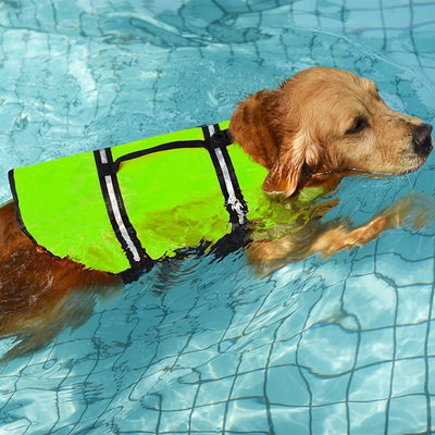 Doglay Dog Life Jacket with Rescue Handle, Dog Life Vest for Swimming Boating, Adjustable Reflective Puppy Swim Vest with Superior Buoyancy for Small Medium Large Dogs