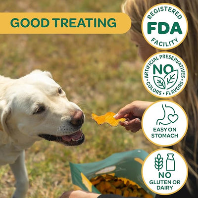 Wholesome Pride Pumpkin Slices Dog Treats, Single Ingredient, Dehydrated, All Natural, 5 oz