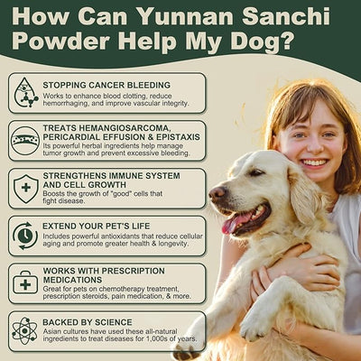 Aids in Cancer Treatment, Quick Stop Bleeding, Yunnan Sanqi Powder for Hemangiosarcoma, Hemoabdomen, Pericardial Effusion, Cancer Bleeding, Nose Bleed, Bloody Stools, Blood Support for Dogs, 100g