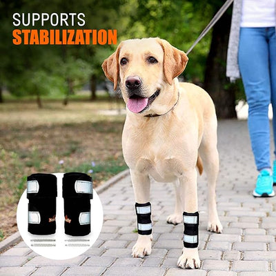 NeoAlly- Front Leg Brace for Dogs & Cats, Dog Leg Brace with Metal Spring Inserts, Dog Leg Sleeve for Carpal Support, Dog Leg Sleeve with Reflective Straps, XXS/XS, Pair