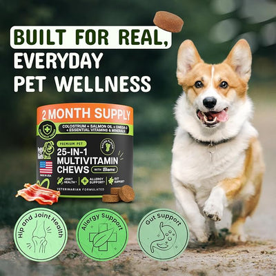 Pets are Kids 25-in-1 Dog Multivitamin - Pet Vitamins and Supplements with LBiome™, Colostrum & Salmon Oil for Gut, Allergy, Mobility & Immune Health - Bacon Flavored, Dog Supplements - 60 Chews