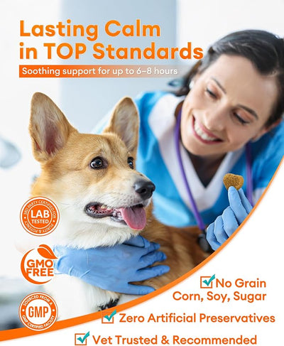 Calming Chews for Dogs 300ct - Anxiety Relief Support & Relaxation for Everyday Stress - Dog Soft Chews with Melatonin - Sleep Aid for Dogs (Peanut Butter Flavor)