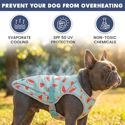 Spark Paws Dog Cooling Vest - SPF 50 UV Sun Protection - Summer Heat Relief Gear for Dogs, Lightweight, Evaporative Cooling - Dog Anxiety Relief Vest During Hot Days - Watermelon - Size 2XL