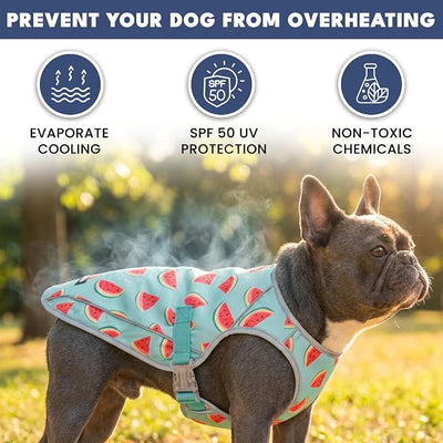 Spark Paws Dog Cooling Vest - SPF 50 UV Sun Protection - Summer Heat Relief Gear for Dogs, Lightweight, Evaporative Cooling - Dog Anxiety Relief Vest During Hot Days - Watermelon - Size L