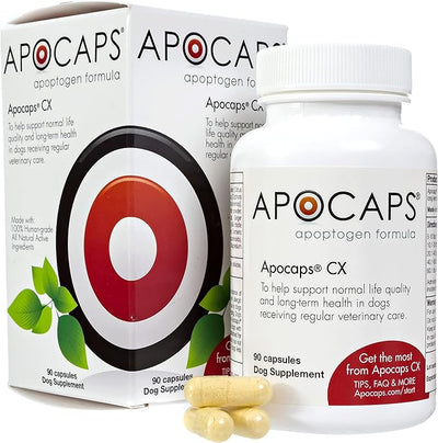 Apocaps CX Vet-Formulated Apoptogen Formula for Dogs - Milk Thistle, Turmeric Curcumin, Apigenin & Luteolin - Supports Normal Apoptosis, Immune & Liver Function - Senior Dogs - 90 Capsules
