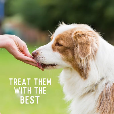 Beg & Barker All Natural Chicken Chips for Dogs (16oz) - Dog Treats Made with USA Sourced Real Meat Chicken, Made in the USA