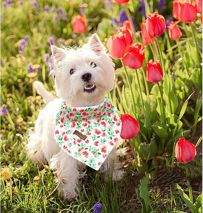 Lionheart Glory Floral Dog Bandana - Spring Summer Washable Soft Scarf, Square Adjustable for Medium Large Dogs (1 Pack)