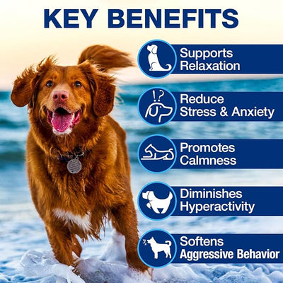 Hemp Calming Chews for Dogs - Advanced Dog Calming Chews - Anxiety Relief Treats for Dogs - Hip and Joint Supplement Support - Dog Supplements for Storms, Fireworks, Thunder, Barking 180 Treats