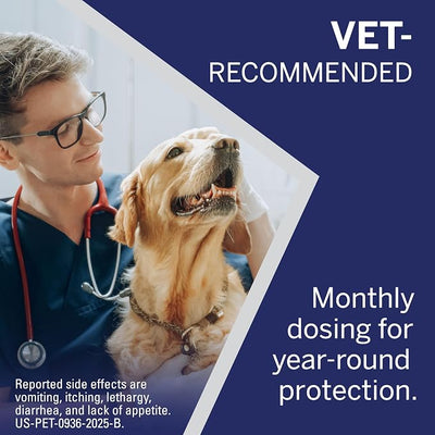 NexGard® (afoxolaner) Flea and Tick Protection for Dogs Oral Soft Beef Flavored Chewables,10.1 to 24 lbs. (Blue Box) 6 Chews (6 Month Supply)