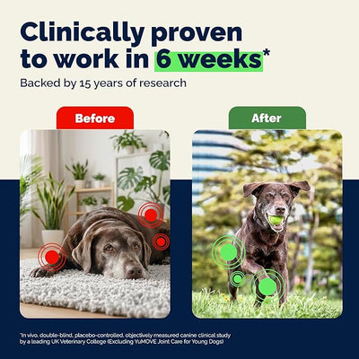 YuMOVE Senior Dog Joint Supplement, Advanced Vet Strength with ActivEase Green Lipped Mussel - Glucosamine for Dogs, Hyaluronic Acid & Omega 3, Senior Joint Support (Advanced Strength, 120ct Chew)