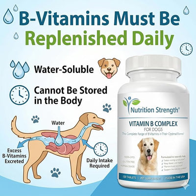 Vitamin B for Dogs, Complete B Complex for Dogs, Promote Blood Cell & Nervous System Health, Help Sustain Cellular Energy Production & Maintain Brain Function, 120 Chewable Tablets