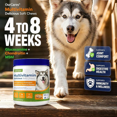 Dog Multivitamin Soft Chews — Glucosamine, Probiotics & Omega 3 for Hip & Joint Support, Skin & Coat, Immune & Digestive Health — Senior Dog Vitamins for All Breeds, Chicken Flavor, 100 Count