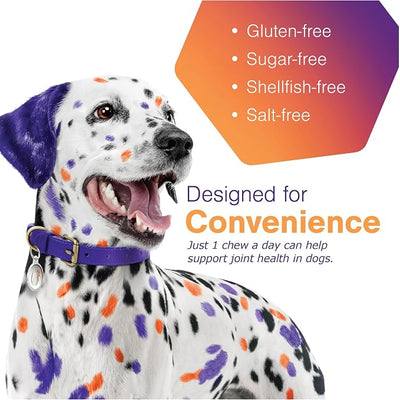MOVOFLEX Soft Chews Hip and Joint Support Supplement for Large Dogs - 60 Count by Virbac