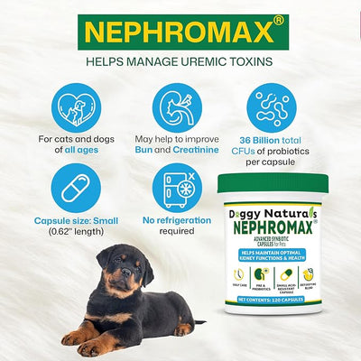 NEPHROMAX™ Synbiotic Capsules Dogs Cats -36 Billion CFU- Kidney Support Supplement for Cats & Dogs, Probiotics & Prebiotics for Digestive Health, Small & Easy-to-Swallow Capsules Made in USA(240 Caps)