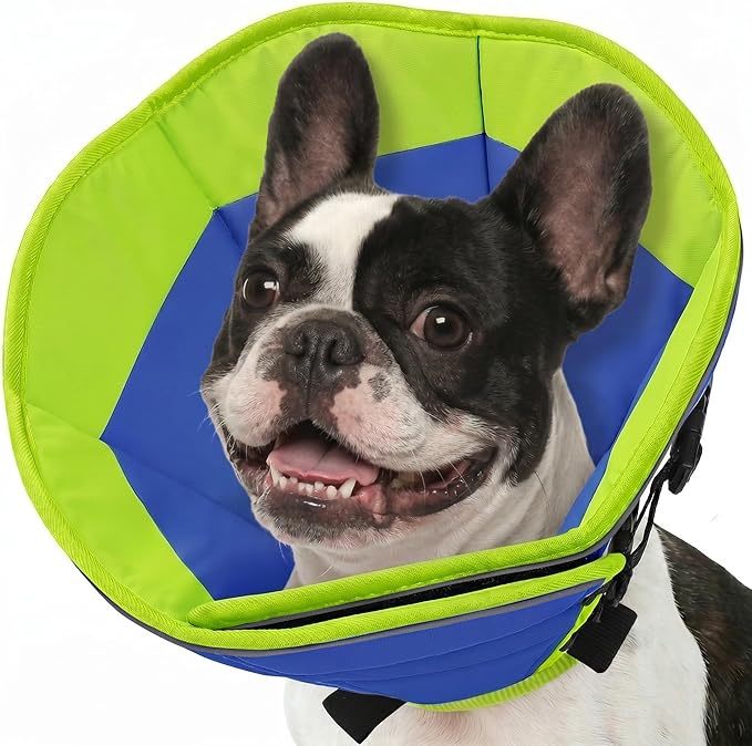 Dog Cone Collar, Adjustable Cone for Dogs to Stop Licking, Soft Dog Cone Alternative for Small Dogs, Pet Recovery Collar After Surgery with Quick Release Buckle, Blue S