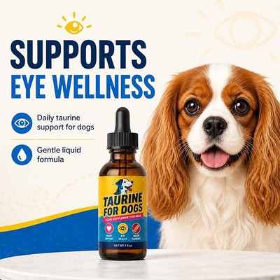 Taurine for Dogs, Bacon Flavored Heart & Eye Wellness Drops with Eyebright, 100mg Taurine Per 1mL, Daily Dog Amino Acid Support, for Small, Medium & Large Dogs, 1 fl oz