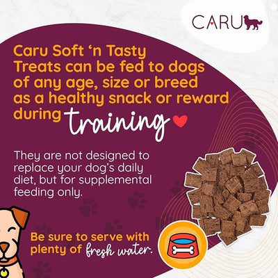 CARU - Soft 'n Tasty Baked Bites - Alligator Bites Dog Treats - Flavorful Training Treats - 3.75 oz