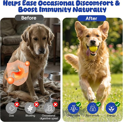 Probiotics Chews for Dogs Gut Digestive Health, Dog Upset Stomach Relief and Occasional Diarrhea, Boost Immune Systems - Prebiotics and Probiotics for Dogs, Salmon Flavor, 100 Soft Chews