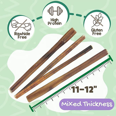 Nature Gnaws Bully Sticks for Dogs 11-12" (1Lb) - Mixed Thickness - Long Lasting for Aggressive Chewers and Large Dogs - Natural Beef Dog Chew Bones