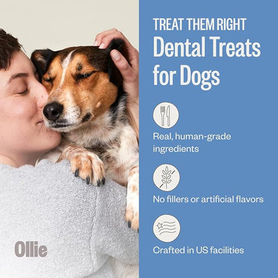 Ollie Dental Chews for Small Dogs, 12 Oz, Fresh Breath, Teeth Cleaning Treats, Sticks for Dog Oral Care, with Parsley and Cinnimon, for Pups 16-25 lbs