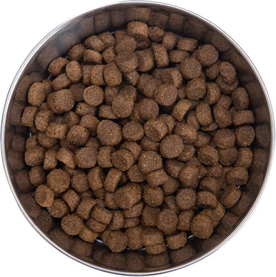 Health Extension Grain Free Chicken & Turkey Dry Dog Food - 30+ Superfoods and Probiotics for All Life Stages (10 lb)