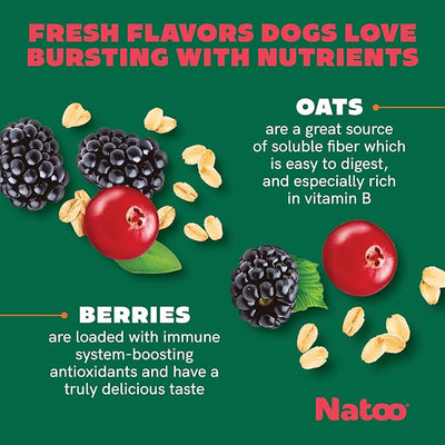 NATOO Biscuits for Small Dogs & Puppies, Oats & Berry, 8 oz | Crunchy Dog Treats, Rich in Omega 6, Prebiotics & Fiber, Antioxidants for Immunity, Healthy Natural Canine Biscuits