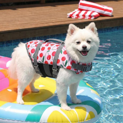 Doglay Dog Life Jacket, Dog Life Vest for Swimming Boating, Adjustable Puppy Life Jacket with Reflective Stripes, Superior Buoyancy Pet Swimming Vest for Small Medium and Large Dogs