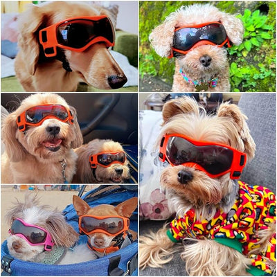 Enjoying Dog Sunglasses Small Breed, Dog Goggles UV Protection, Cycling Eye Protection for Small Dogs, Outdoors Breathable Windproof Dustproof Anti-Fog, Adjustable Straps, Cool Orange