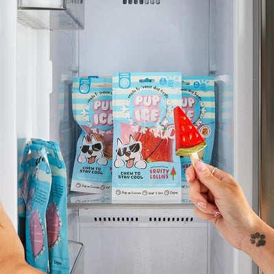 SPOT Pup Ice- Ready to Freeze at Home Dog Treats-Edible Chews for Small Breed Dogs & Puppies with Real Chicken to Keep Your Pup Cool Year Round, Fruity Lollies Watermelon Flavor, 3pcs
