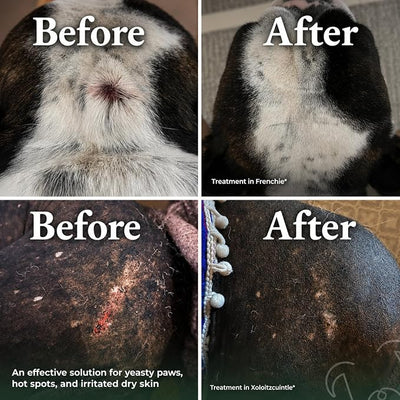 Dry Shampoo for Dogs – Antifungal Itchy Skin & Hot Spot Relief, Yeast Infection & Paw Licking Treatment, Dog Powder with Allergy Support