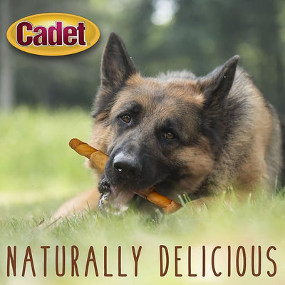 Cadet Gourmet Shish Kabob Dog Chews for Large Breeds, Rawhide Treats for Dogs with Chicken and Sweet Potato, Healthy & Natural Pork Hide, 10-Inch Sticks, 4 Count
