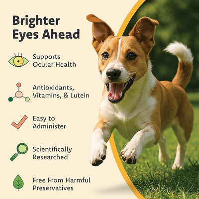Ocu-GLO PB Vision Supplement for Medium & Large Dogs – Easy to Administer Powder Blend with Lutein, Omega-3 Fatty Acids, Grape Seed Extract & Antioxidants to Promote Eye Health, 90ct Powder Capsules