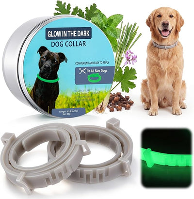 Flea and Tick Collar for Dogs with Natural Essential Oils, Glow in The Dark Dog Collars for Night Walking, Waterproof & Adjustable Flea and Tick Prevention for Dogs, Puppies, 2 Pack, Fluorescent Glow