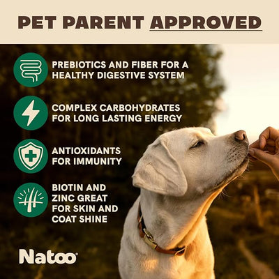 NATOO Healthy Treats for Large Dogs, Coconut & Mango Flavor, 8 oz | Crunchy Biscuits, Rich in Omega 6, Prebiotics & Fiber, Antioxidants for Immunity, Natural Dog Treats