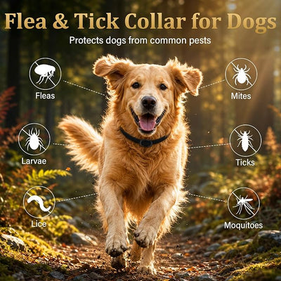 6 Pack Flea and Tick Collar for Dogs, Dog Flea Collar with Natural Essential Oils, Adjustable Size for All Ages & Breeds of Dogs, Black