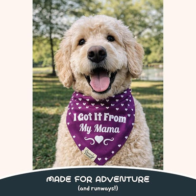 Funny Snap-On Dog Bandana for Small Medium Large Pets, Dogs Cats Adjustable Handkerchief Scarf for Girl & Boy, Cute Puppy Apparel & Accessories (Got It from My Mama, Medium)