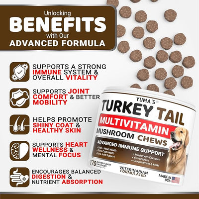 (2-Pack) Turkey Tail Mushroom for Dogs - 340 Count - Mushroom Chews for Dogs Lipoma Lumps and Bumps - Immune Health, Digestive, Skin, Joint Vitamin Support Guard Buddy - Multivitamin Supplement