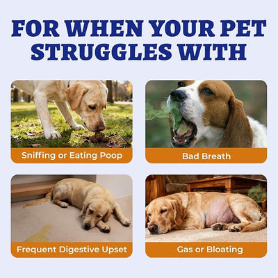 Wellix 260 Bites No Poo Chews for Dogs - Stool Eating Deterrent for Dogs Coprophagia Relief with Probiotics Digestive & Gut Health - Support Breath Freshener & Immune System, Chicken & Pumpkin Flavor