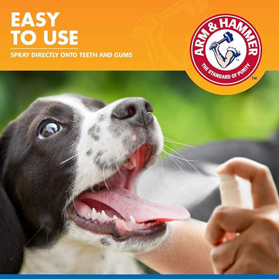 Arm & Hammer Tartar Control Dental Spray for Dogs Mint Flavor Breath Freshener Brushless Teeth Cleaning Oral Care with Baking Soda Helps Reduce Plaque and Tartar Buildup 4 FL OZ Single Bottle Supply