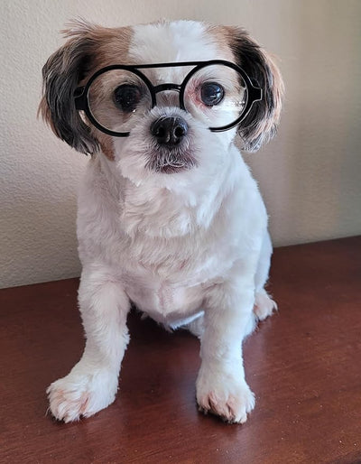 G002 Dog Pet Clear Lens Costume Glasses Small to Medium Breeds 12LBS~30LBS Prop Photoshoot Sunglasses (BR Round Black-Clear)