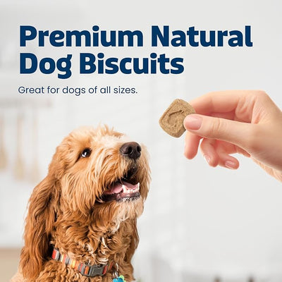 Blue Buffalo Health Bars Apples & Yogurt Crunchy Dog Biscuits, Oven-Baked with Real Apples & Natural Ingredients, Healthy Dog Treats with No Artificial Flavors or Preservatives, 16 oz.