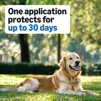 Amazon Basics Preventative Flea and Tick Topical Treatment for Medium Dogs (23-44 lbs), Up to 30 Days Protection, Fast Acting, 6 Counts, Packaging May Vary