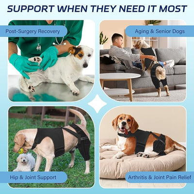 Dog Knee Brace for Torn ACL Hind Leg– Dog Leg Brace with Metal Stabilizers for Dogs with Torn ACL, Luxating Patella, Ligament Injuries & Hip Dysplasia, Limping or Osteoarthritis Recovery,M-2